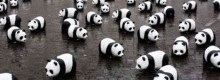 Google Panda Update