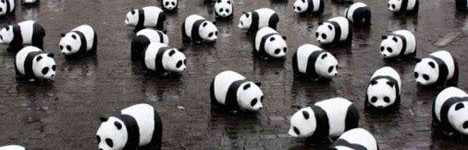 Permalink to Google Panda Update
