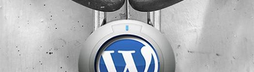 Permalink to WordPress Security